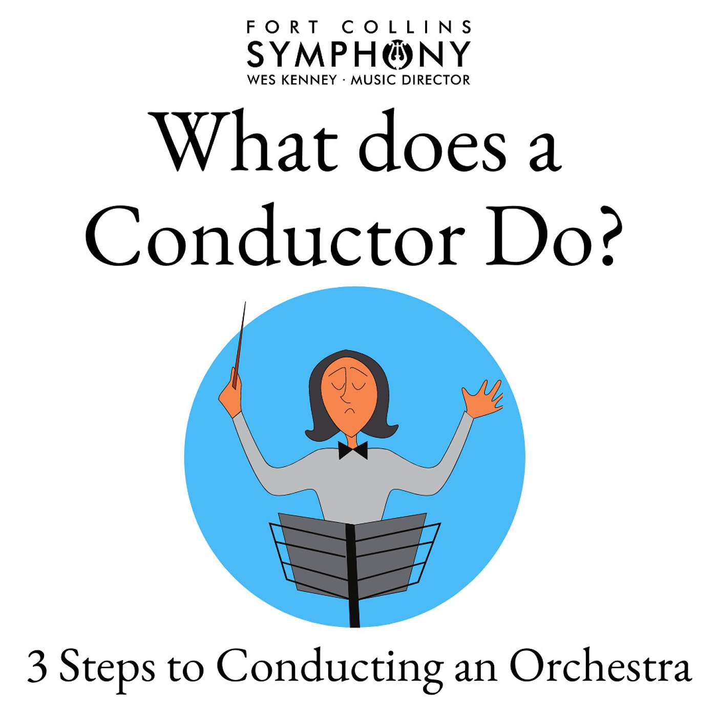 What does a Conductor Do? - 3 Steps to Conducting an Orchestra