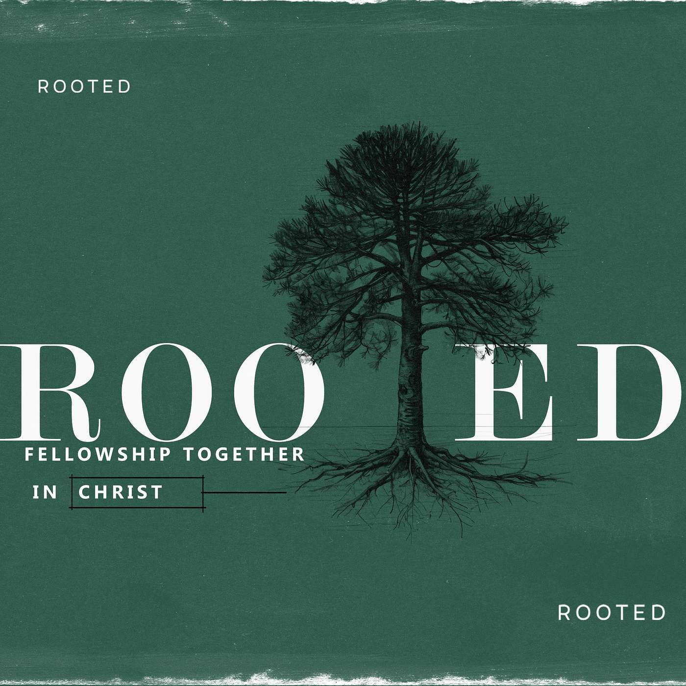 Rooted Fellowship Week 2 Burden of Fellowship // Beautiful Savior Sermons