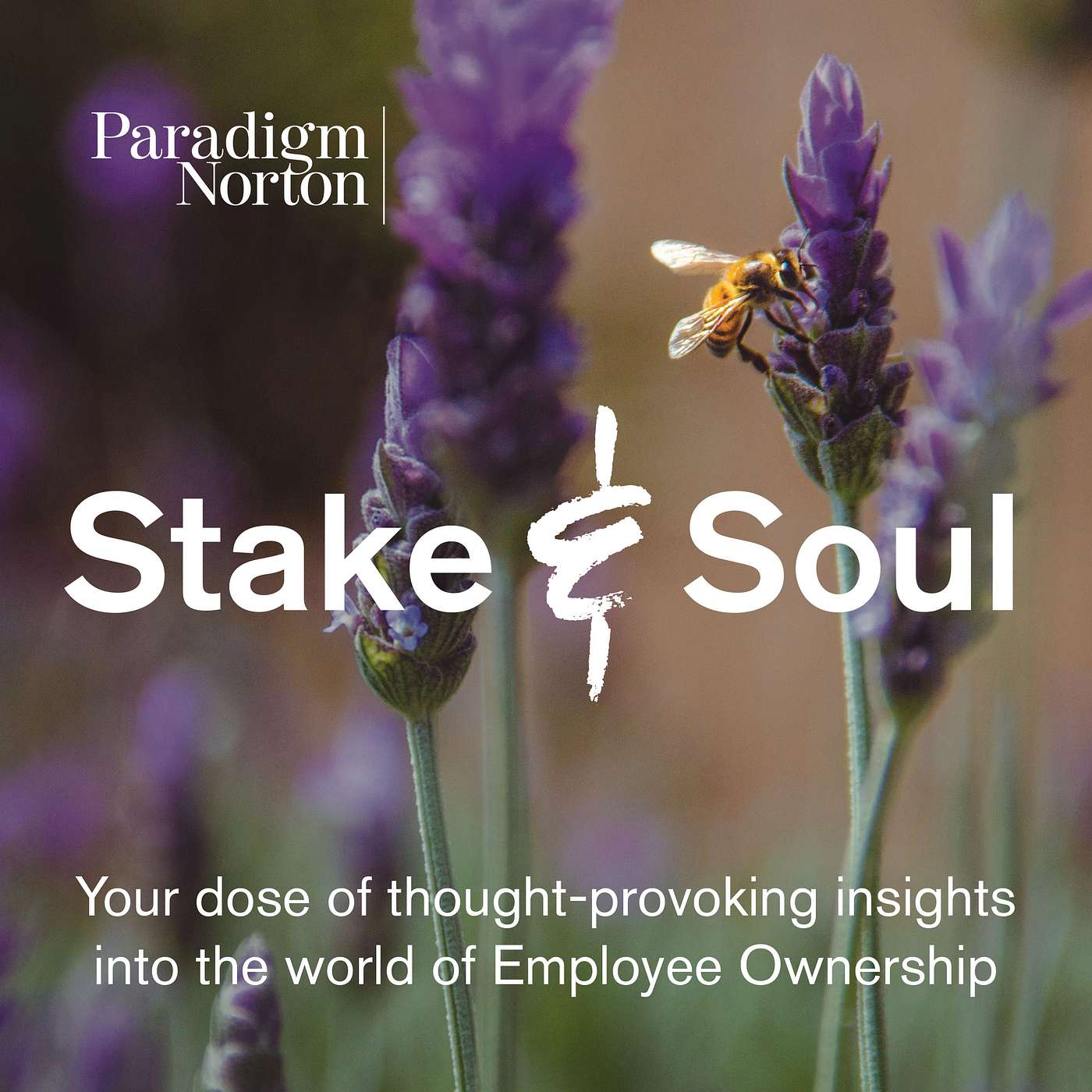 Stake & Soul cover art