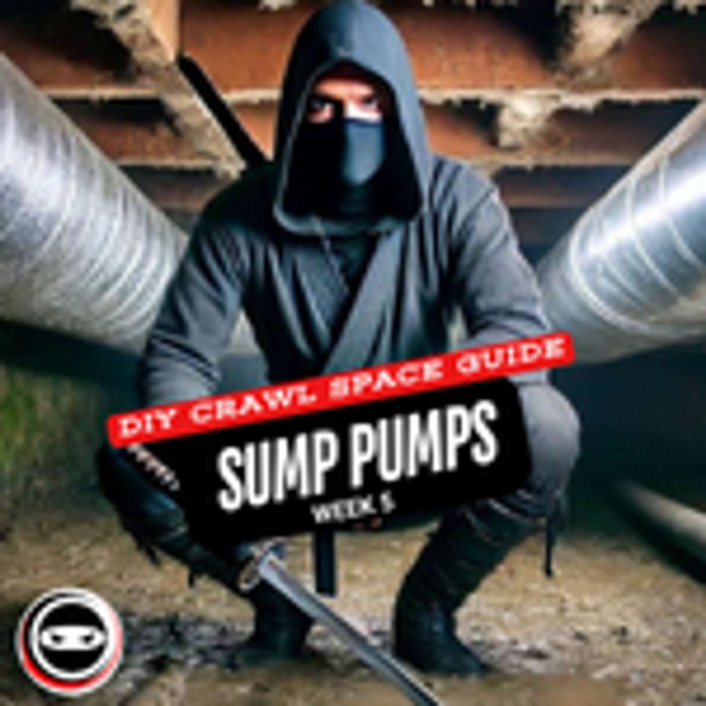 DIY Crawl Space Guide: Sump Pumps and Basins Week 5