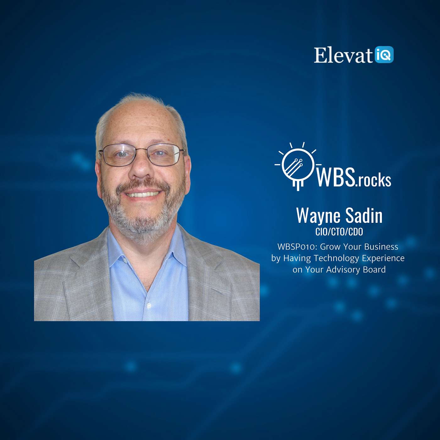 WBSP010: Grow Your Business by Having Technology Experience on Your Advisory Board w/ Wayne Sadin