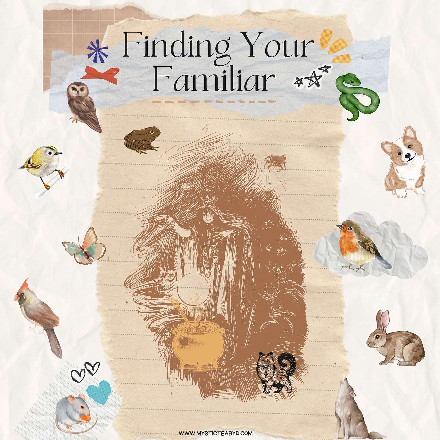 Finding Your Familiar And Why Your Fuzzy or not so Fuzzy Companion is Pure Magic! episode artwork