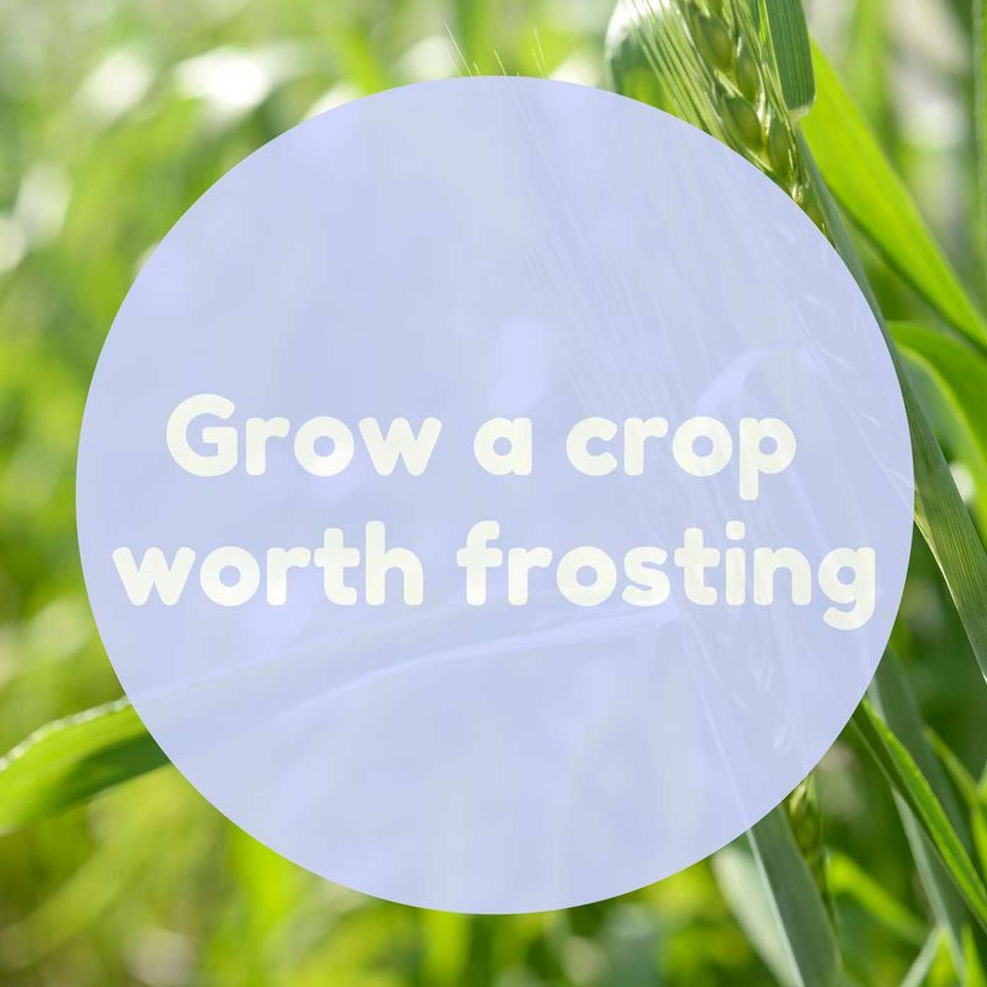Grow A Crop Worth Frosting