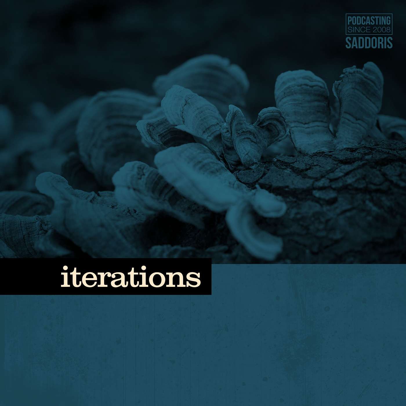 Iteration 32: Between the Emotional Guardrails