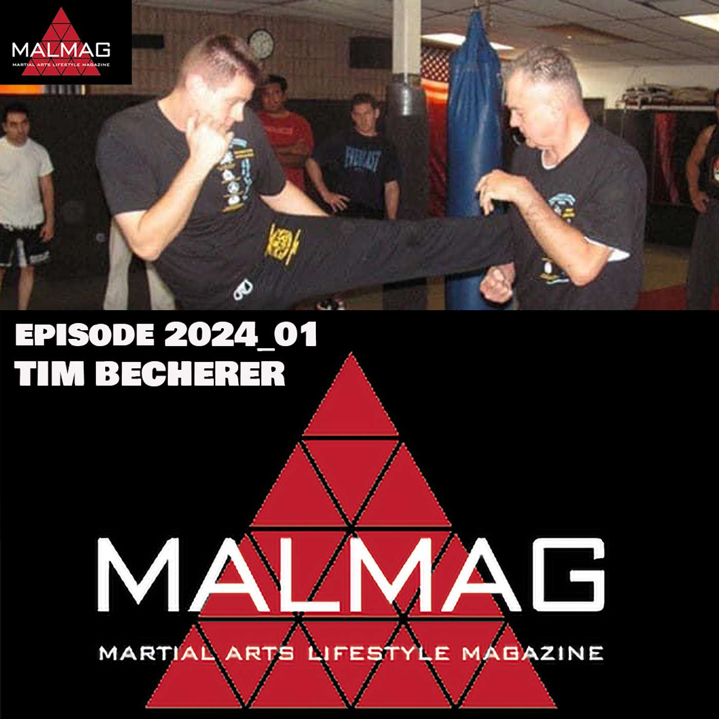 The Martial Arts Lifestyle Podcast