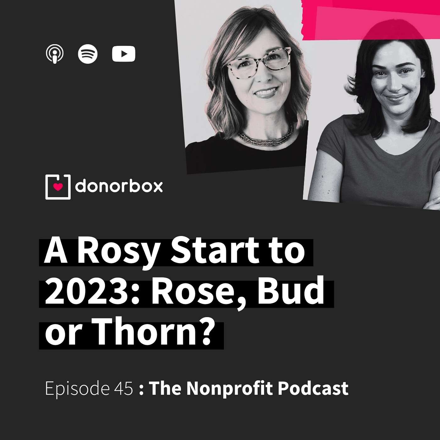 The Nonprofit Podcast