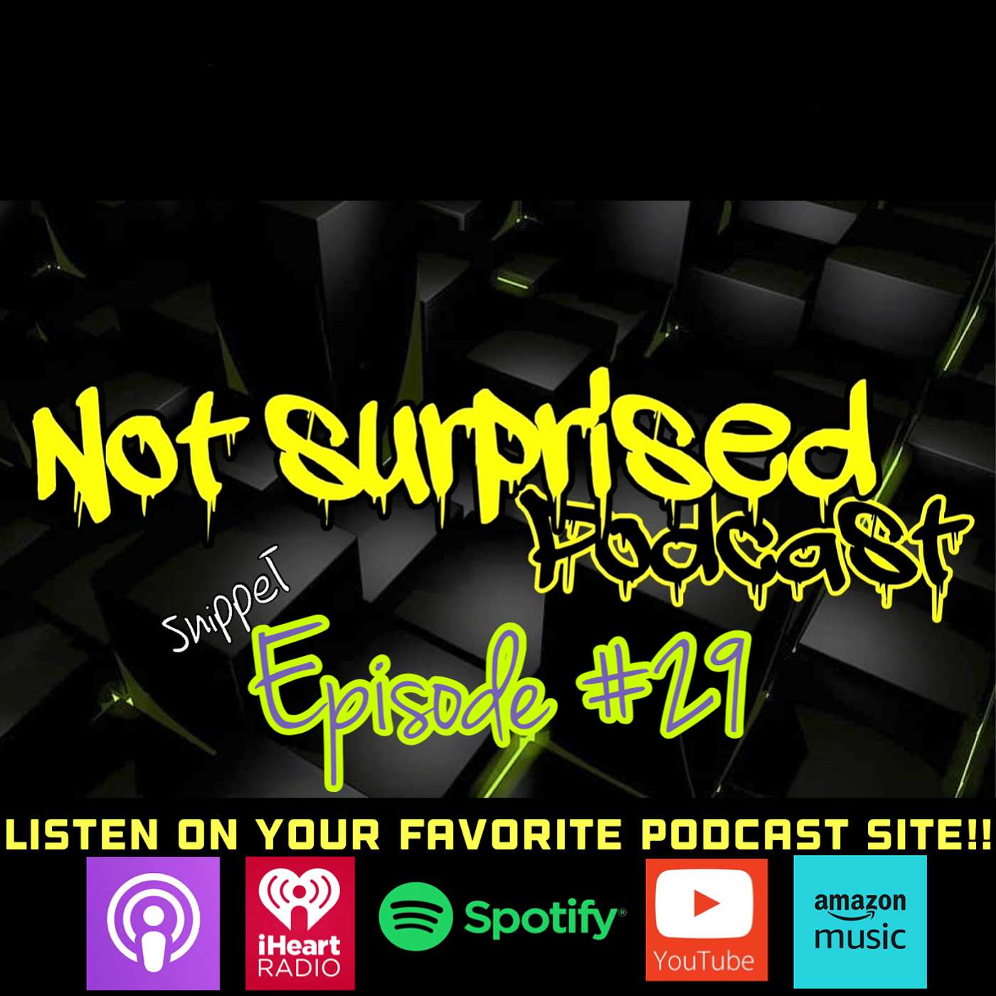 Not Surprised Podcast