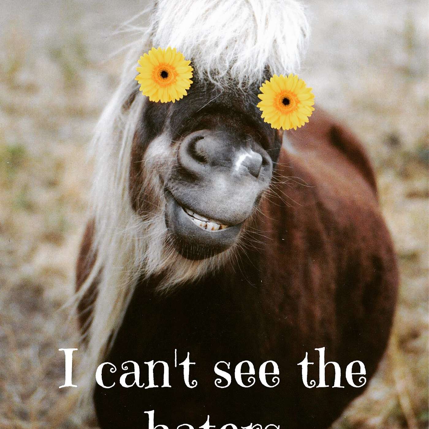 I can’t see the haters episode artwork