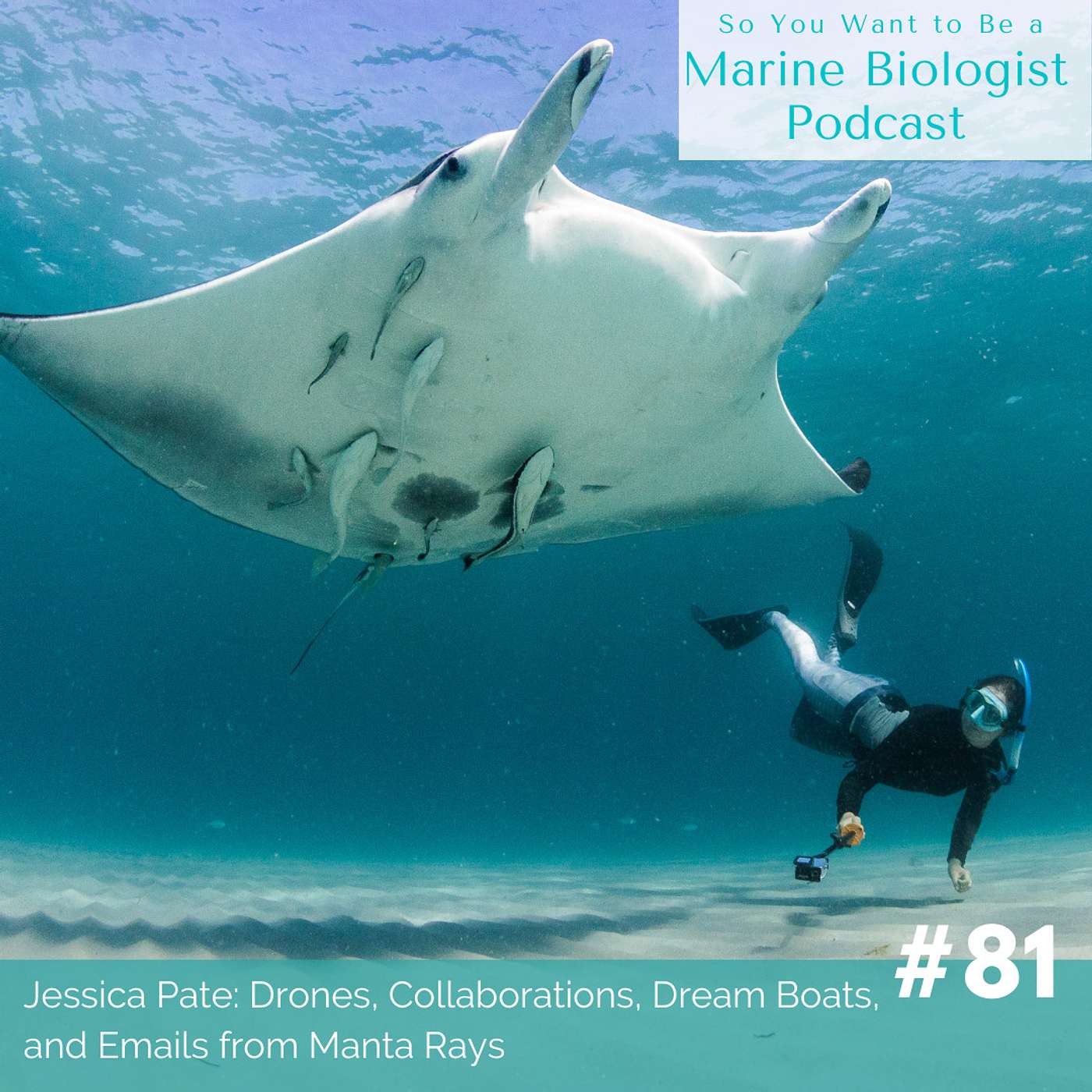 So You Want to Be a Marine Biologist