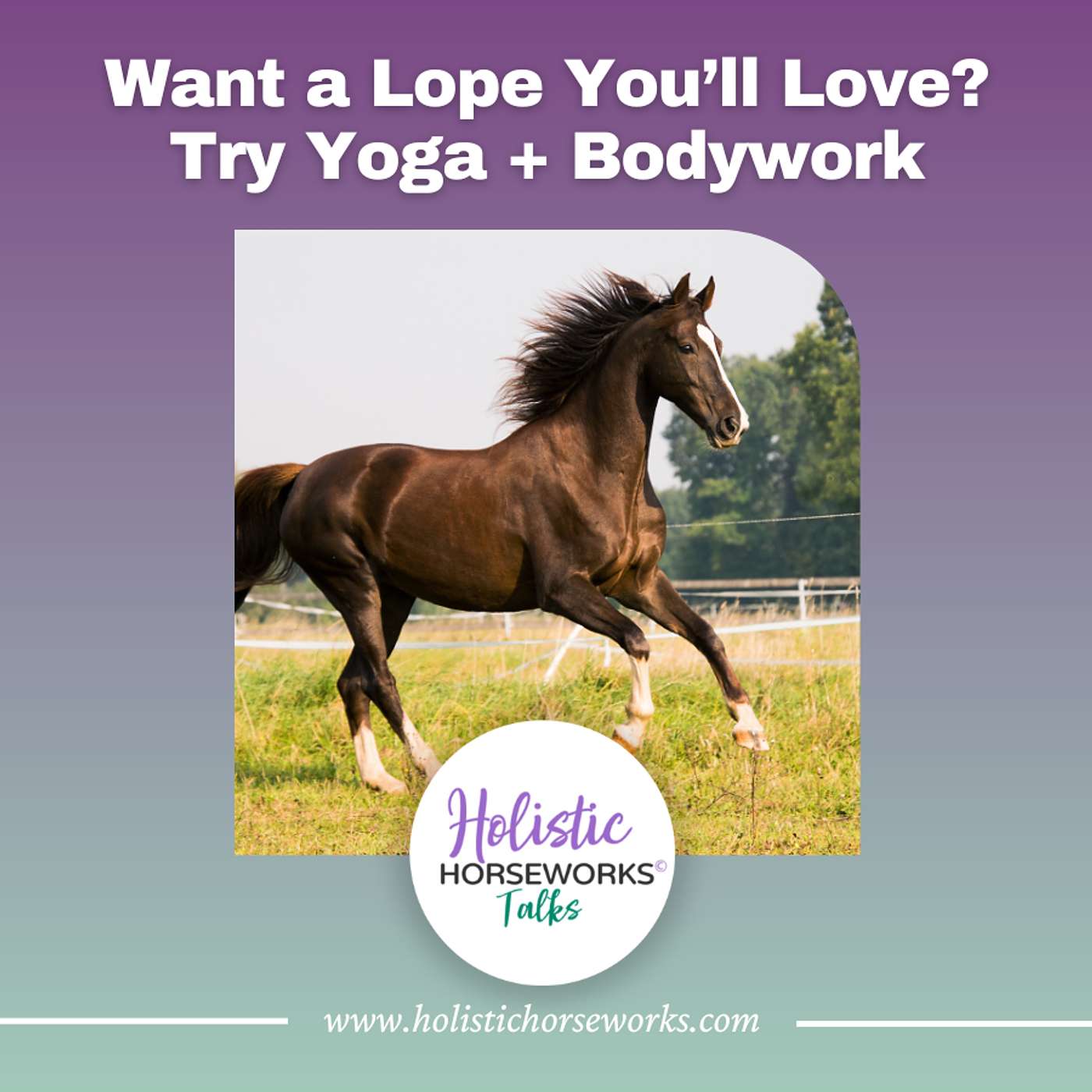 Holistic Horseworks Talks with April Love
