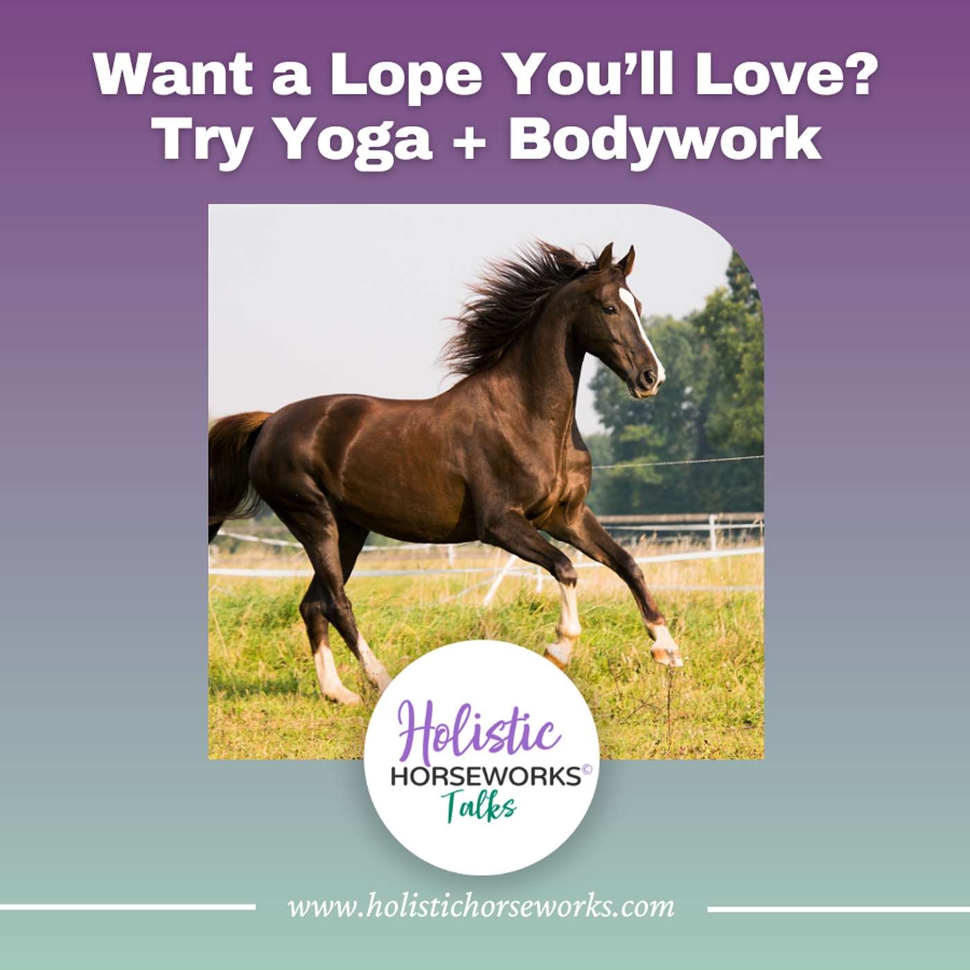 Holistic Horseworks Talks with April Love - Want a Lope You'll Love? Try Yoga + Bodywork