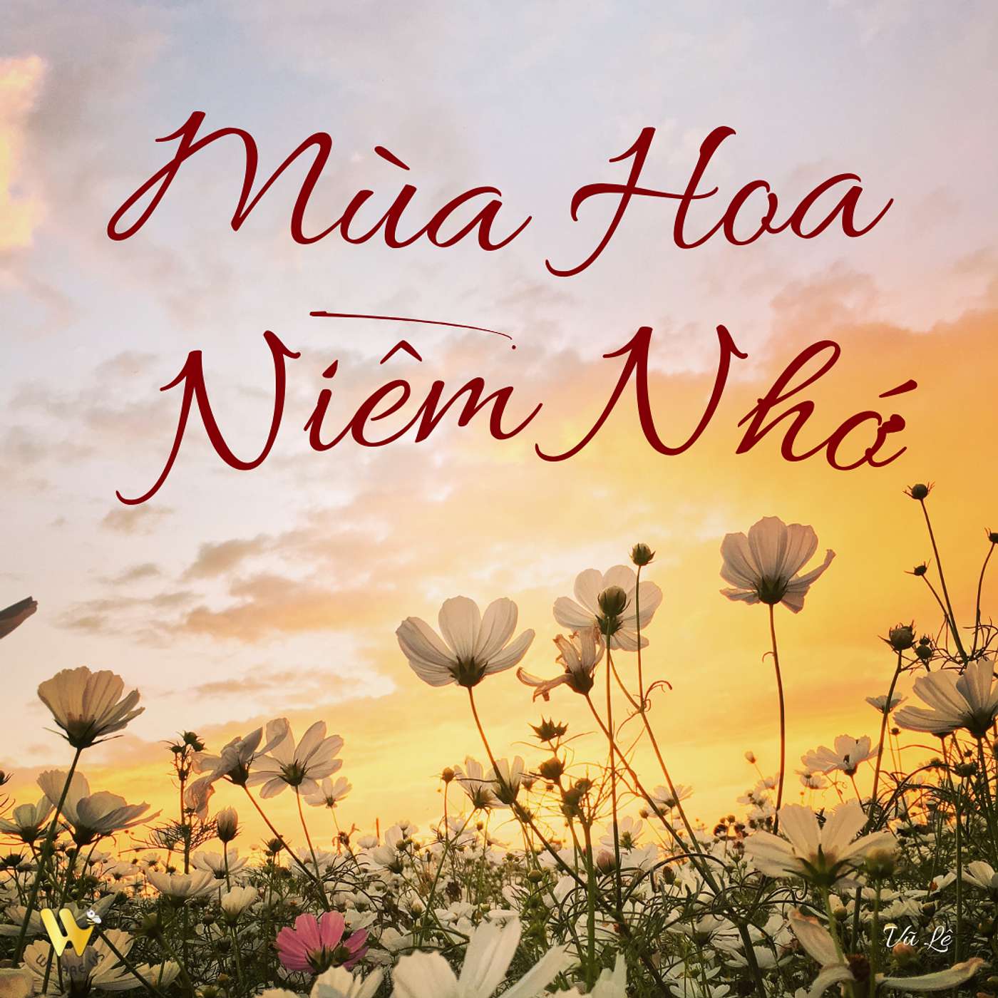 Mùa Hoa Niềm Nhớ episode artwork