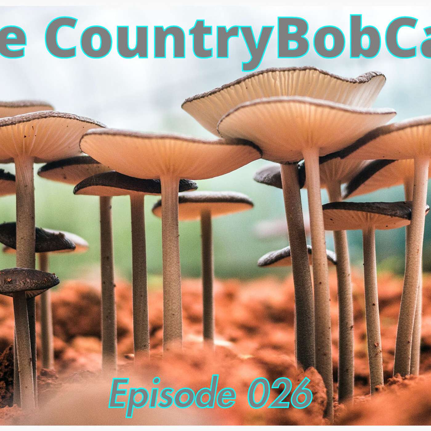 The CountryBobCast