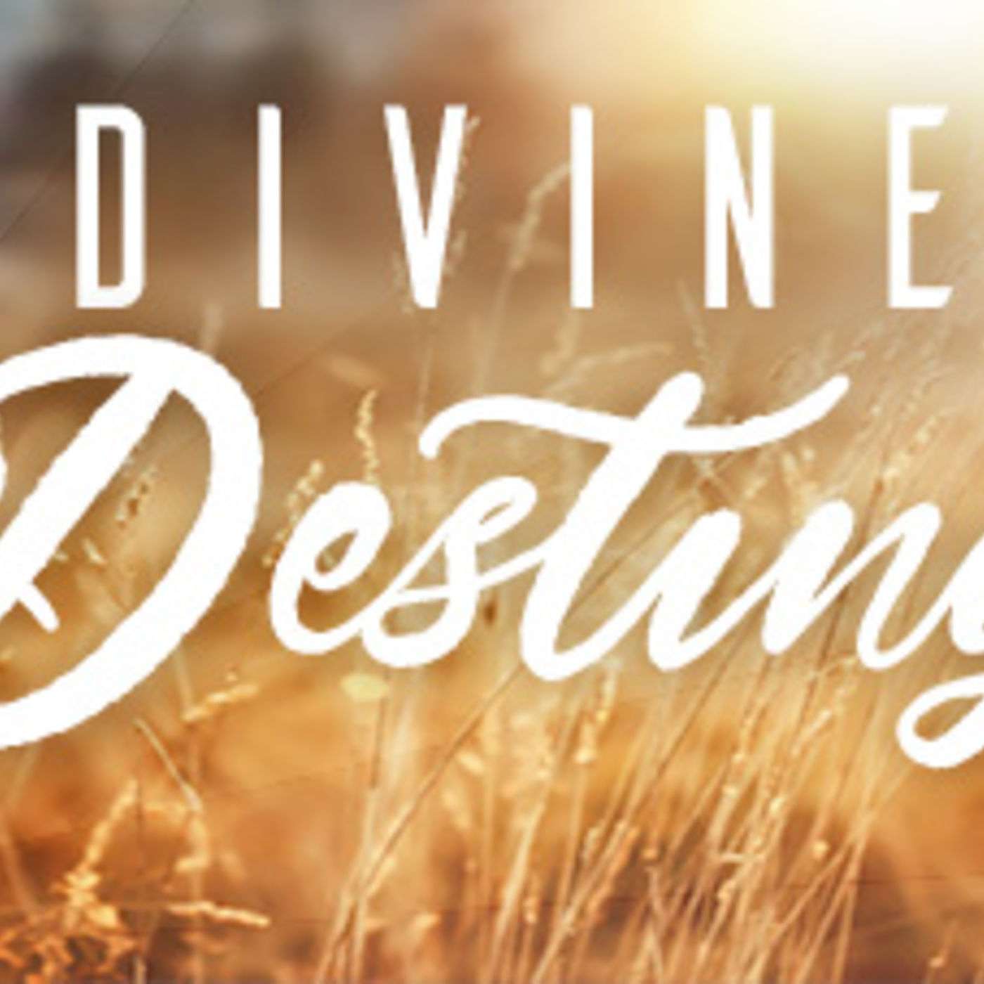 Divine Destiny