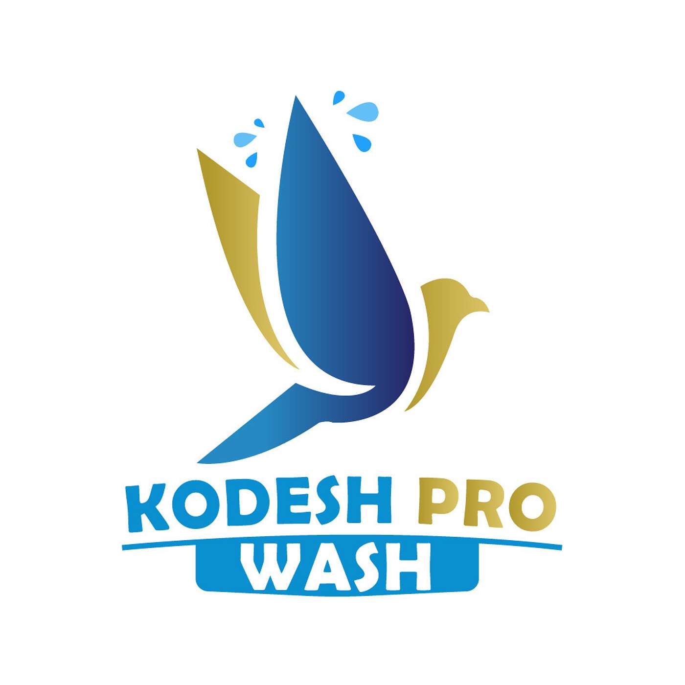 Kodesh Pro-Wash's Podcast