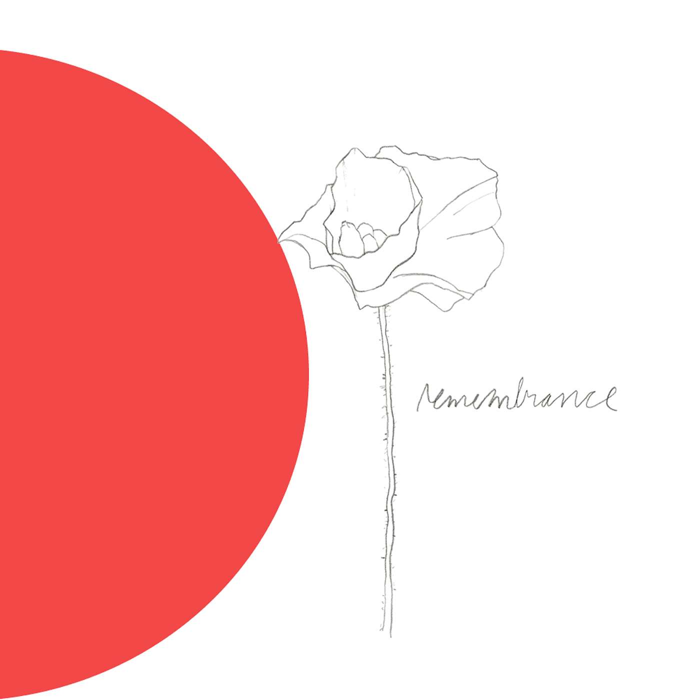 Gratitude Blooming Podcast