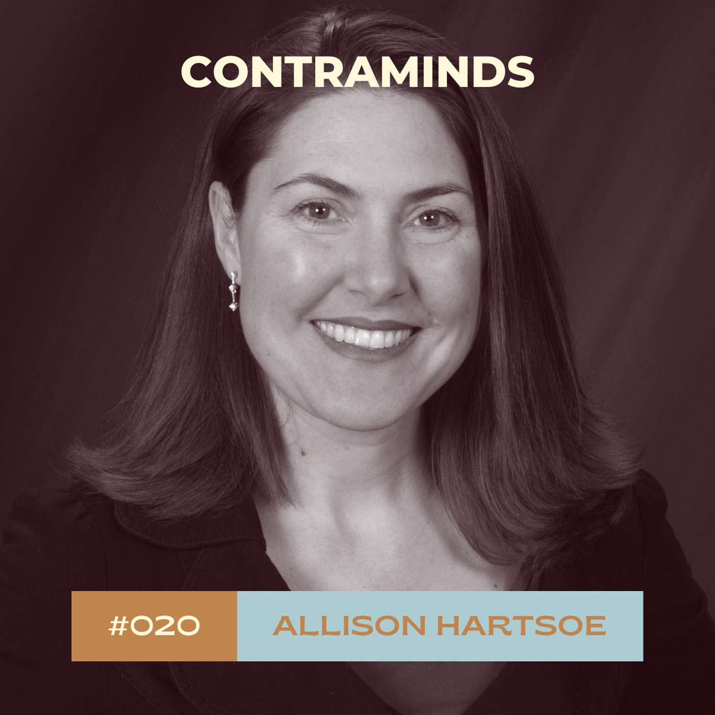 #020: Allison Hartsoe on Transforming Businesses by Understanding Customers