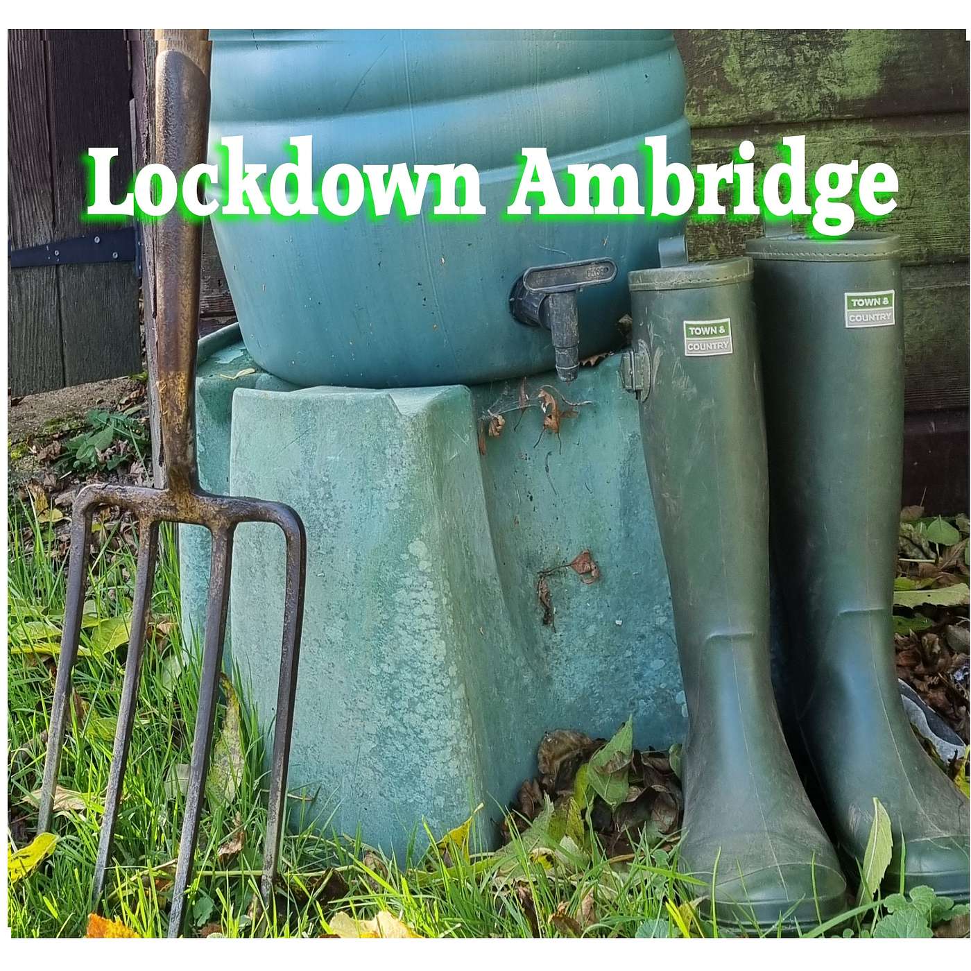 Lockdown Ambridge