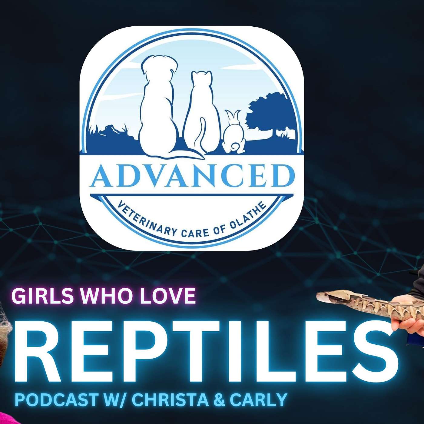 Venomous Reptiles Need Veterinarians Too | Girls Who Love Reptiles Podcast episode artwork