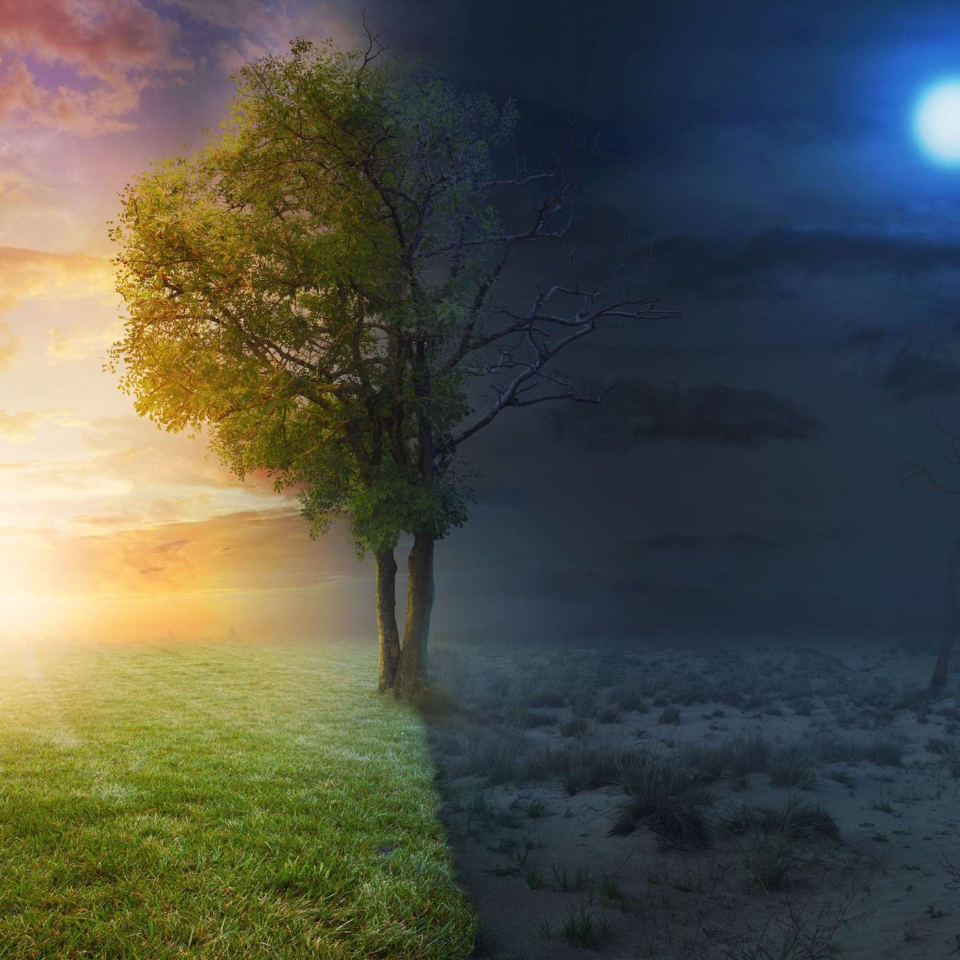 Stay Away From Darkness! Walk In the Light! episode artwork