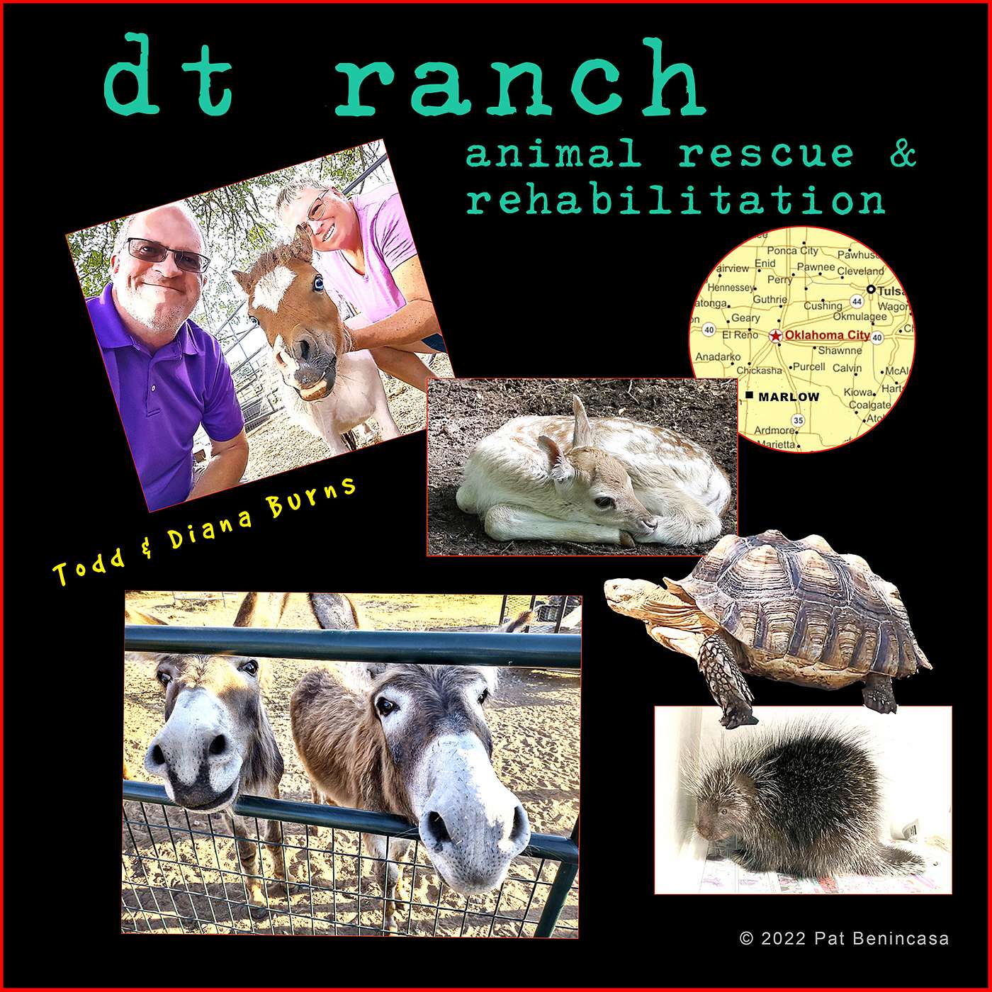 DT Ranch- A Big-Hearted Story of Rescue, Hope & 2nd Chances