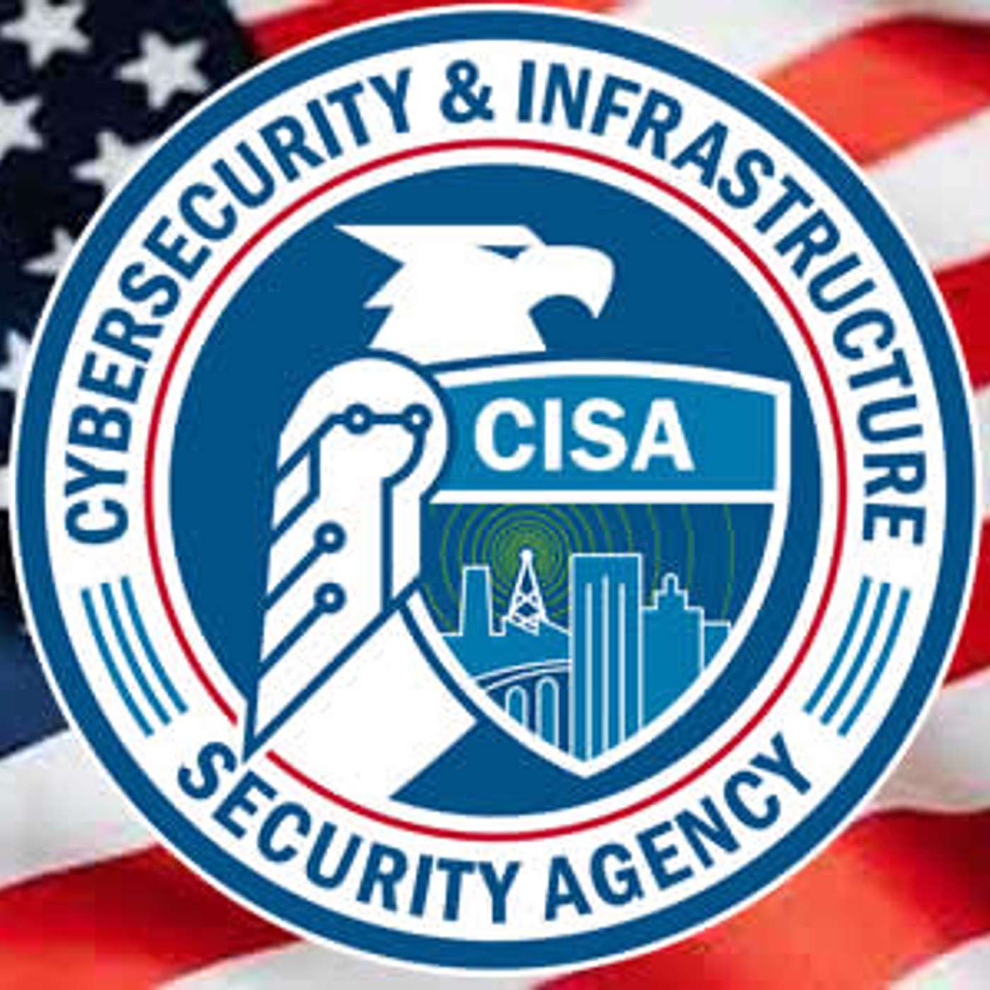 239. Spying on a U.S. Federal Agency.