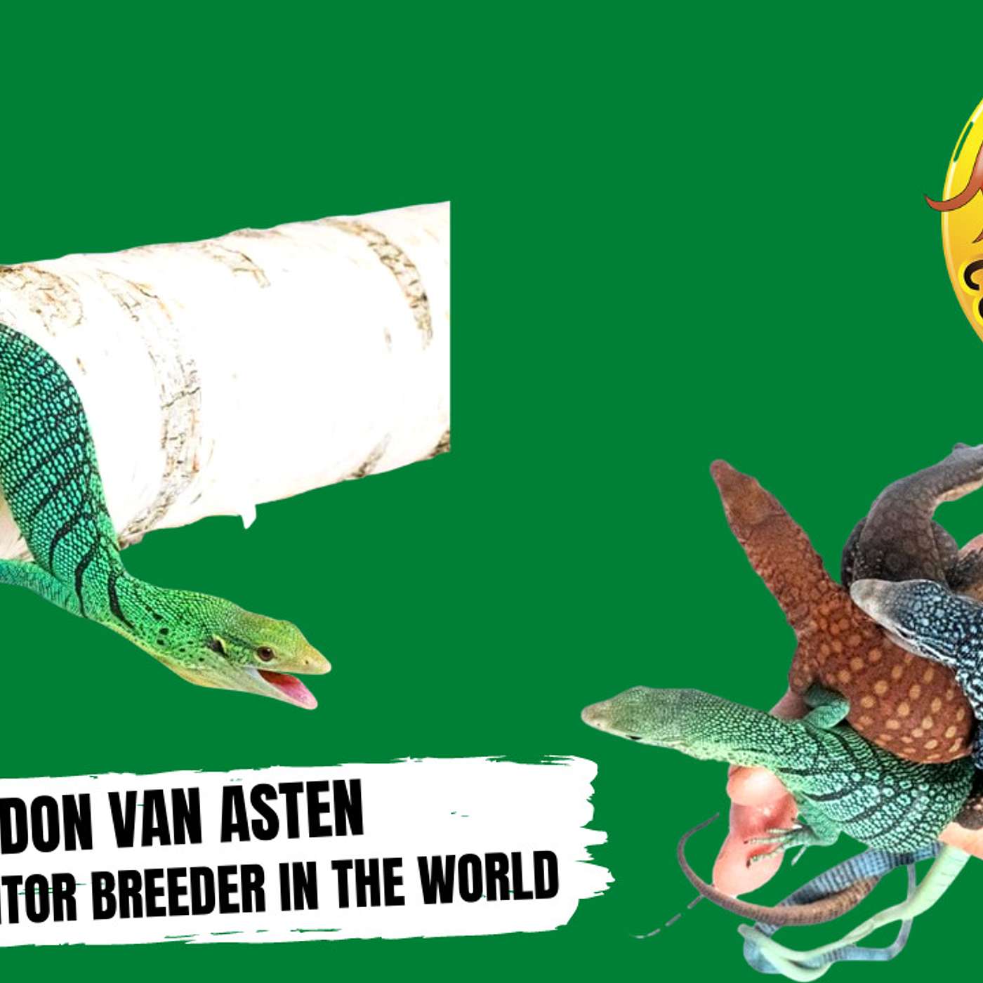 Biggest mistake people make when breeding Tree Monitors | Trap Talk Reptile Podcast