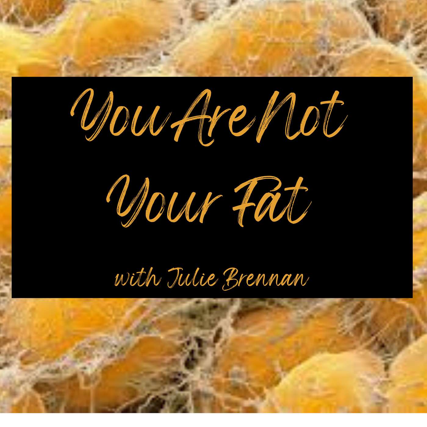 You Are Not Your Fat