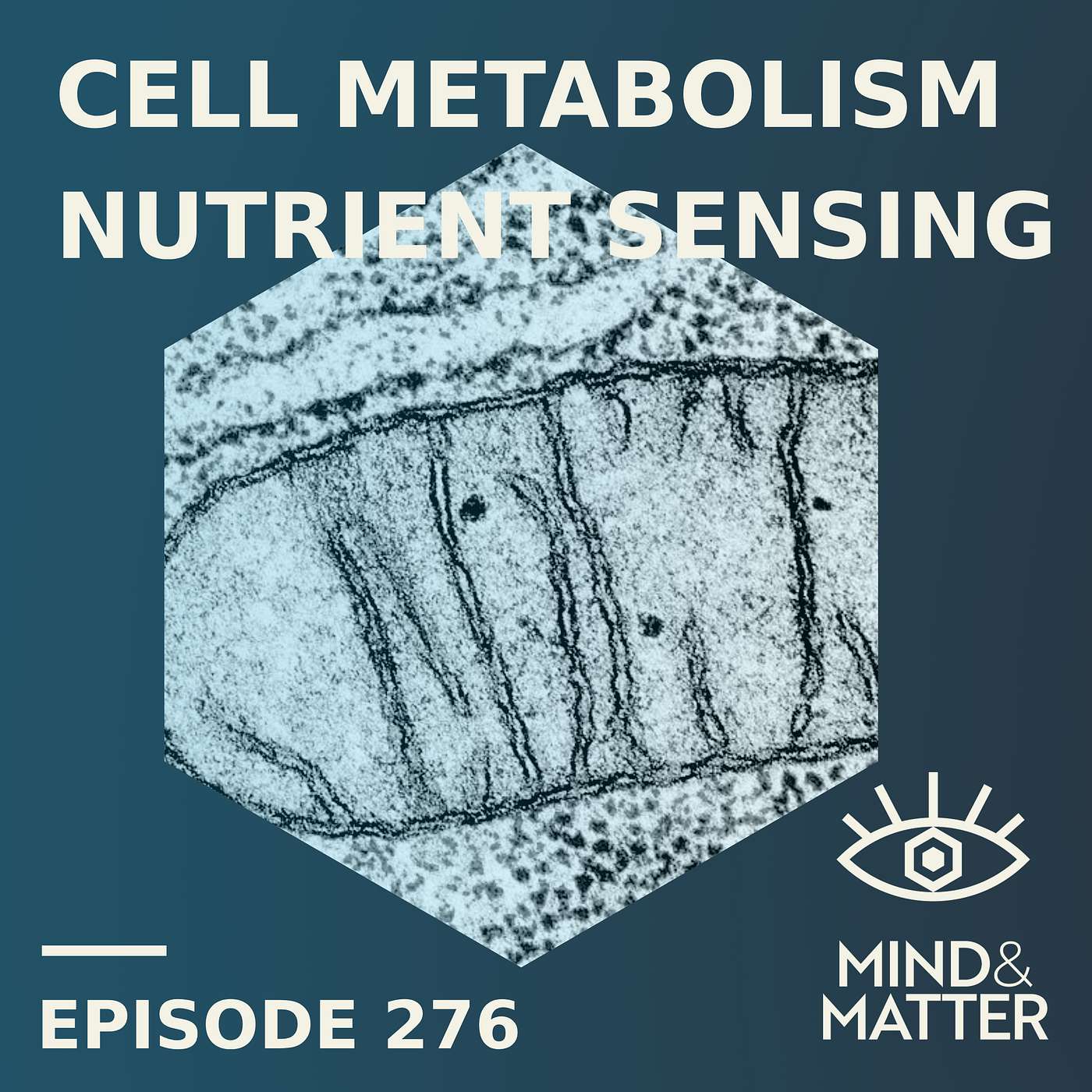 AMPK: Biochemistry of Nutrient Sensing, Fasting, Cell Repair & Growth | Greg Steinberg AMPK: Biochemistry of Nutrient Sensing, Fasting, Cell Repair & Growth | Greg Steinberg
