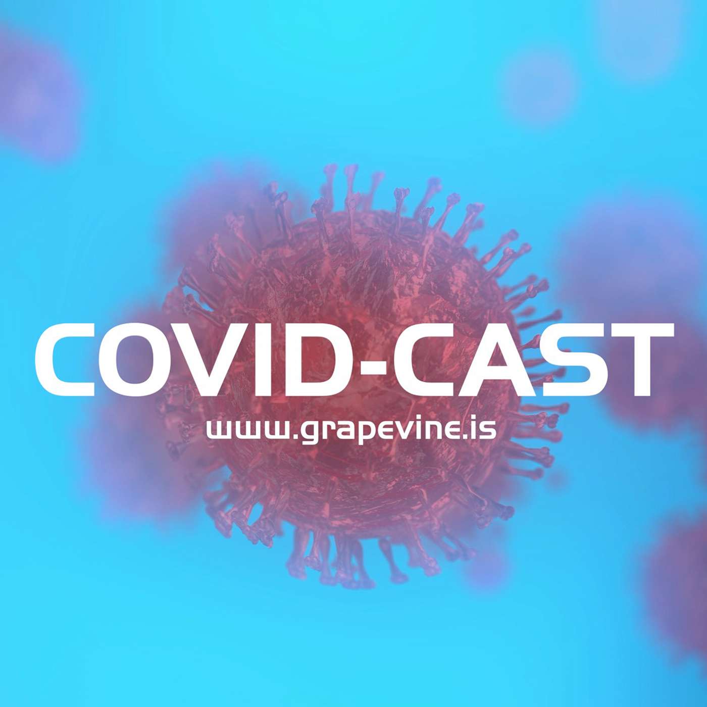 The Reykjavik Grapevine\'s Podcast