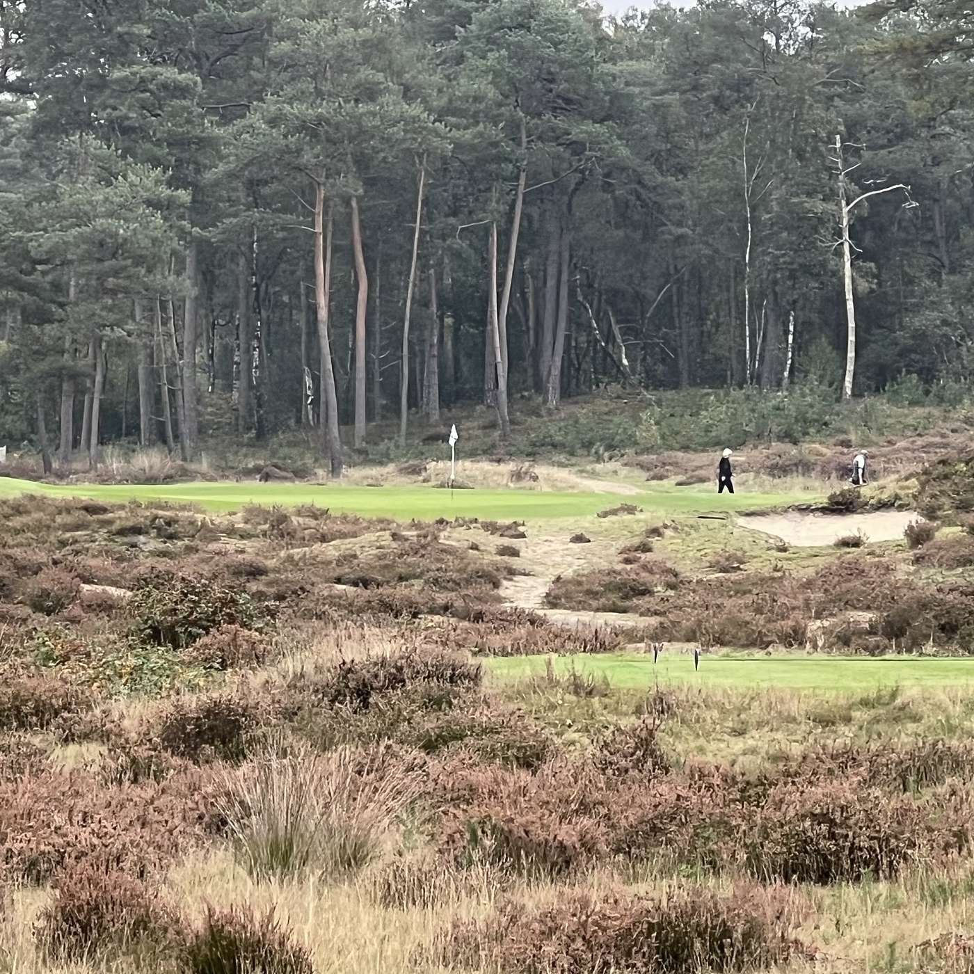 Rosendaelsche, Gelderland, Netherlands