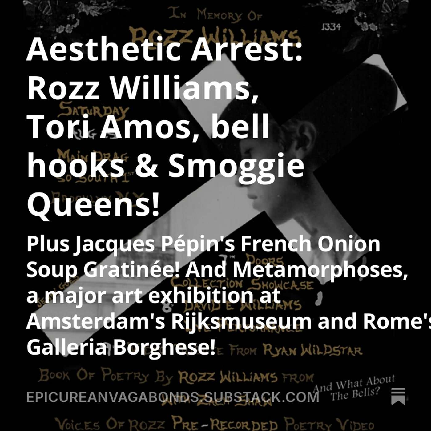 Aesthetic Arrest: Rozz Williams, Tori Amos, bell hooks & Smoggie Queens! episode artwork