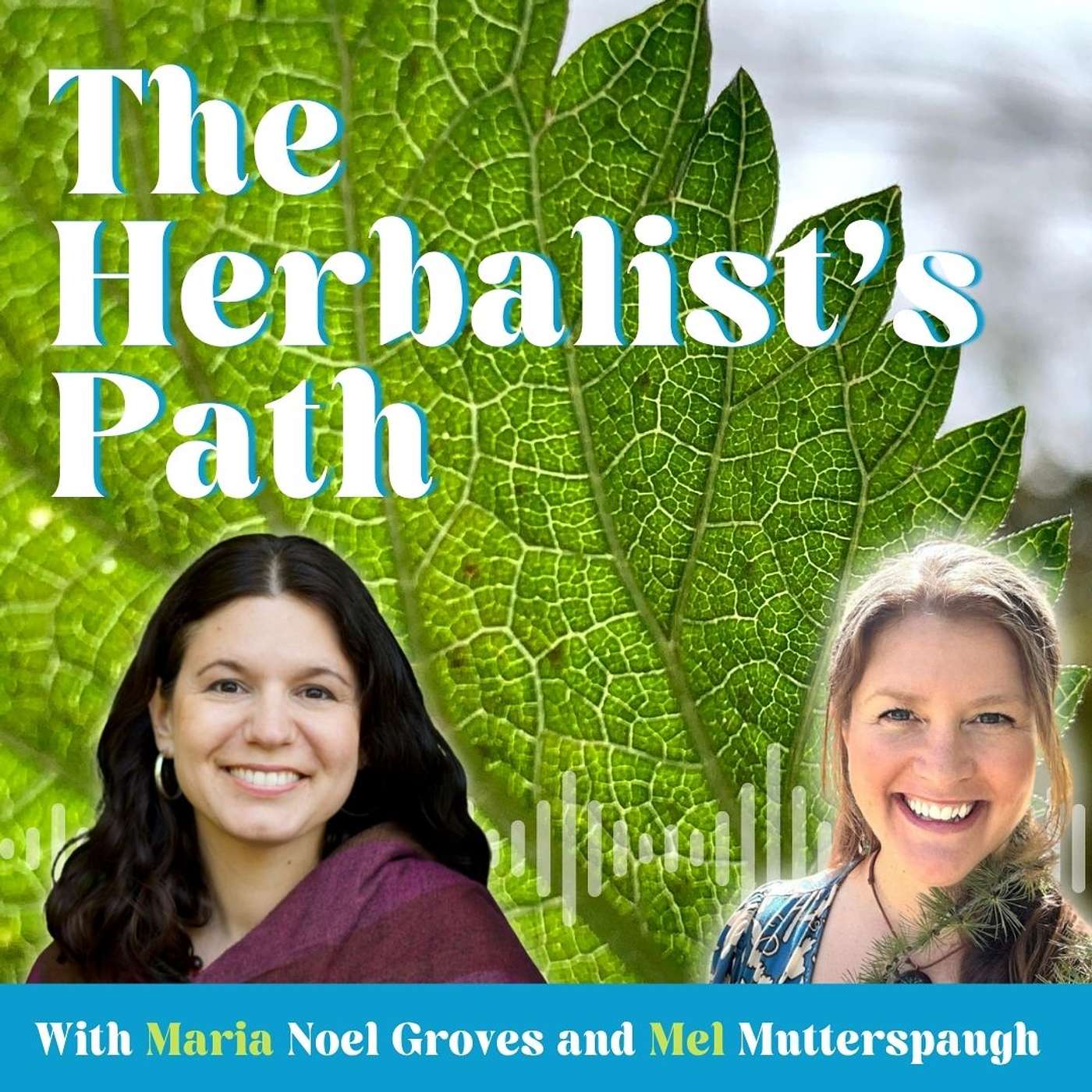 Herbal Gut Health with Maria Noel Groves: Bitters, Mucilaginous Herbs, and Healing Your Digestion episode artwork