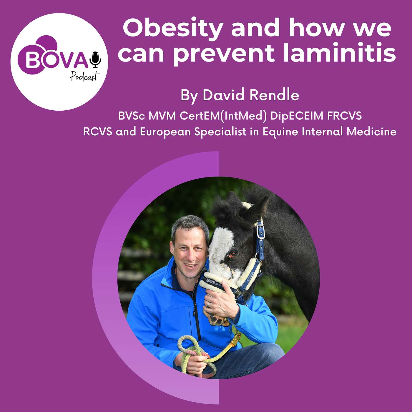 Bova UK Podcast