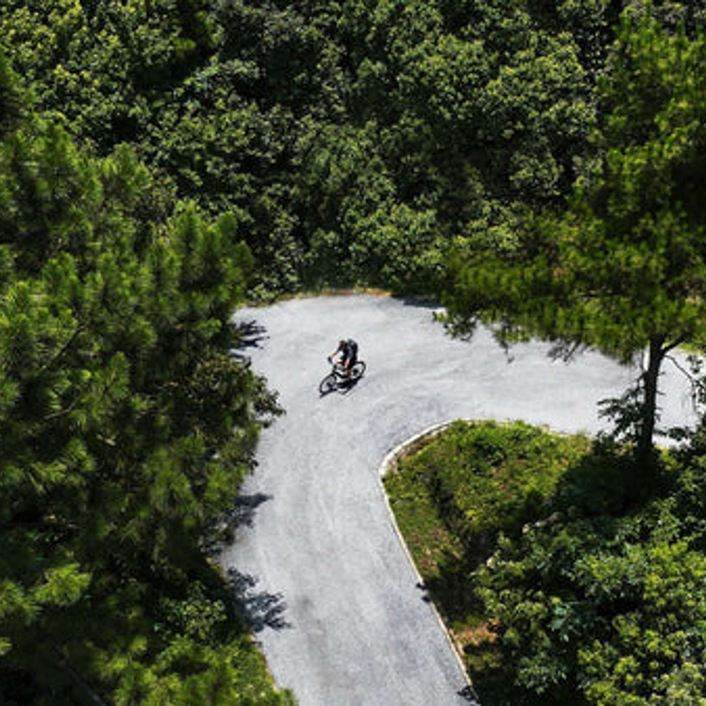 Is a Step-Through Electric Bike Right for You?