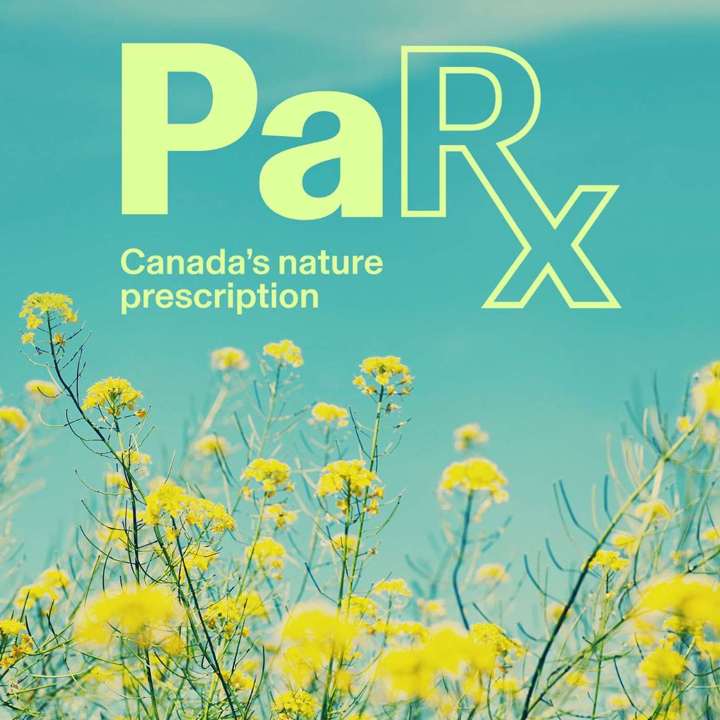 Get a Prescription to Nature for Better Mental Health episode artwork