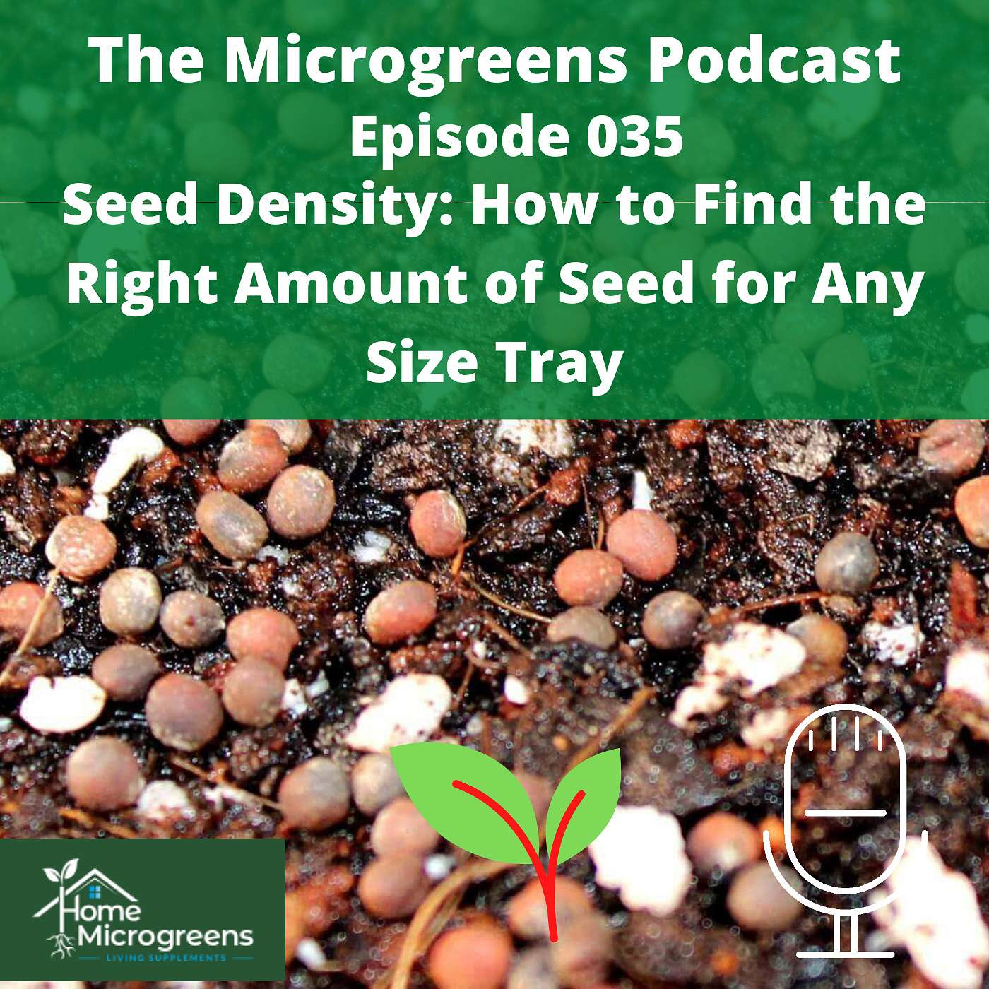 Seed Density: How to Find the Right Amount of Seed for Any Size Tray Seed Density: How to Find the Right Amount of Seed for Any Size Tray