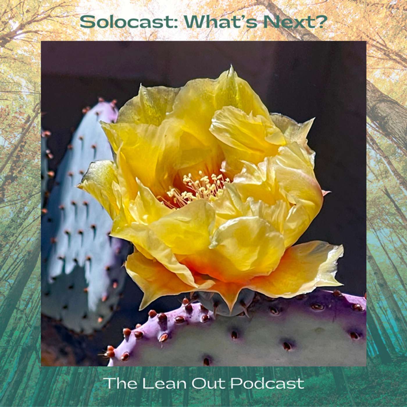 Lean Out Podcast