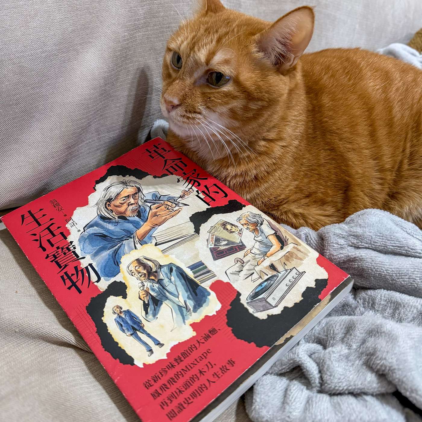 【書中自有黃金鮑EP119】《革命家的生活寶物》：九谷燒花瓶與品味的重要