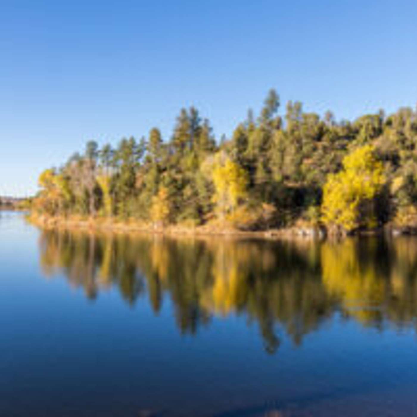 Prescott Forest Lifts Seasonal Eagle Closures