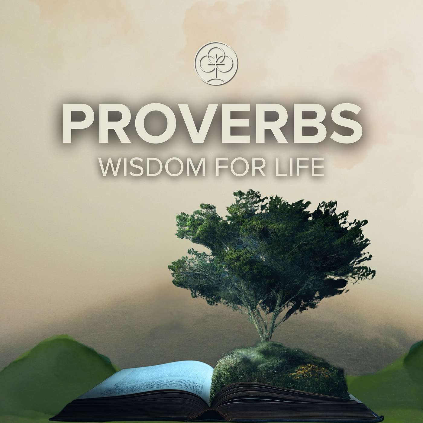 Wisdom from the Other Side | Book of Proverbs: Wisdom For Life episode artwork