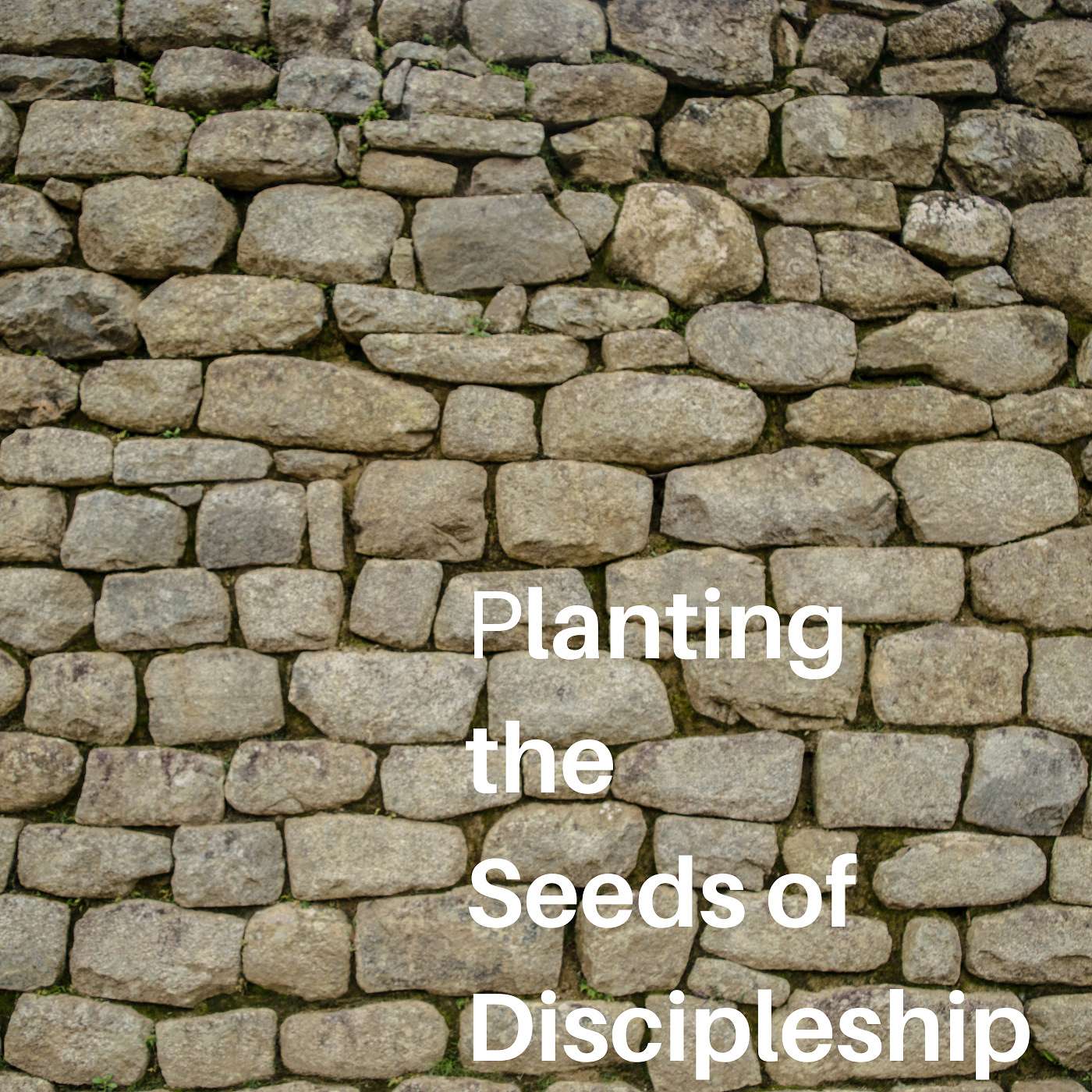 8-29-21 A Call to Remember: Planting Seeds of Discipleship episode artwork