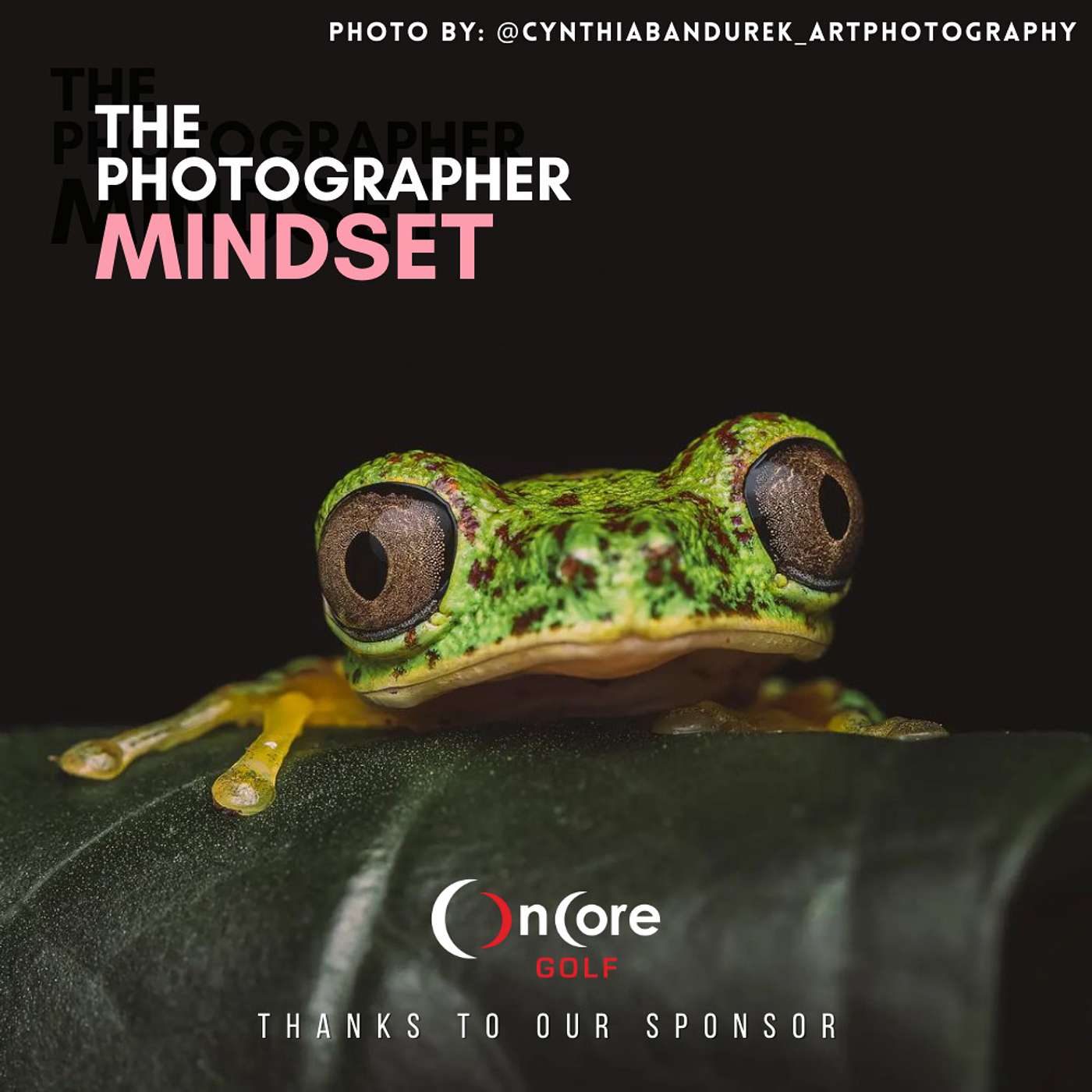 The Photographer Mindset