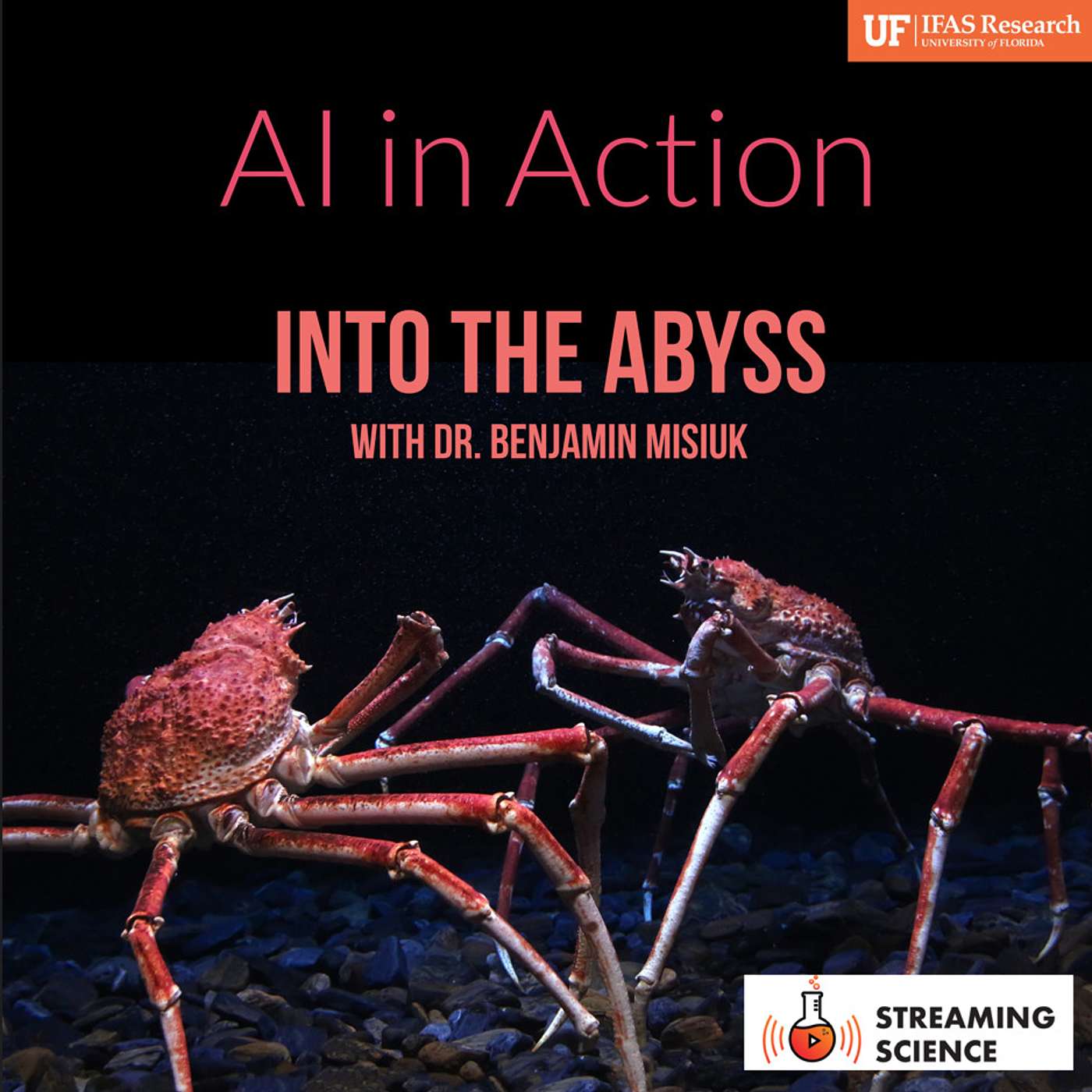 AI in Action: Dr. Benjamin Misiuk episode artwork