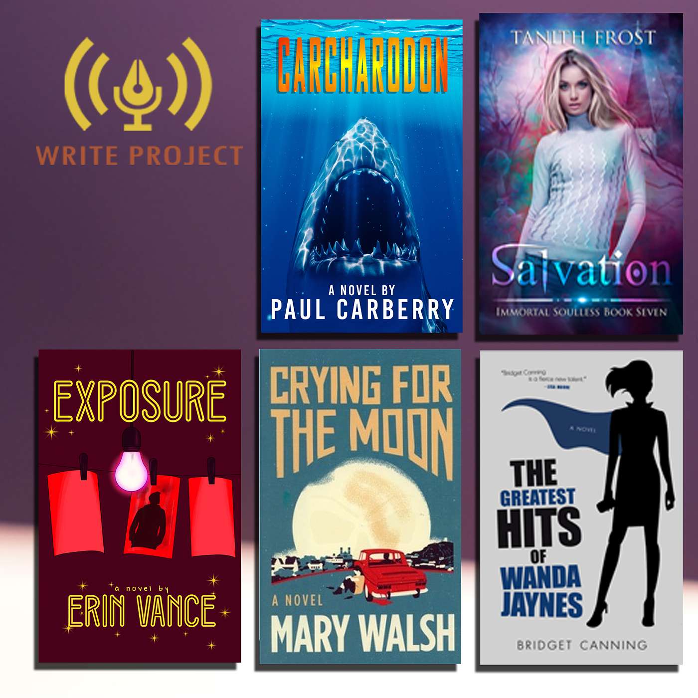 The Write Project