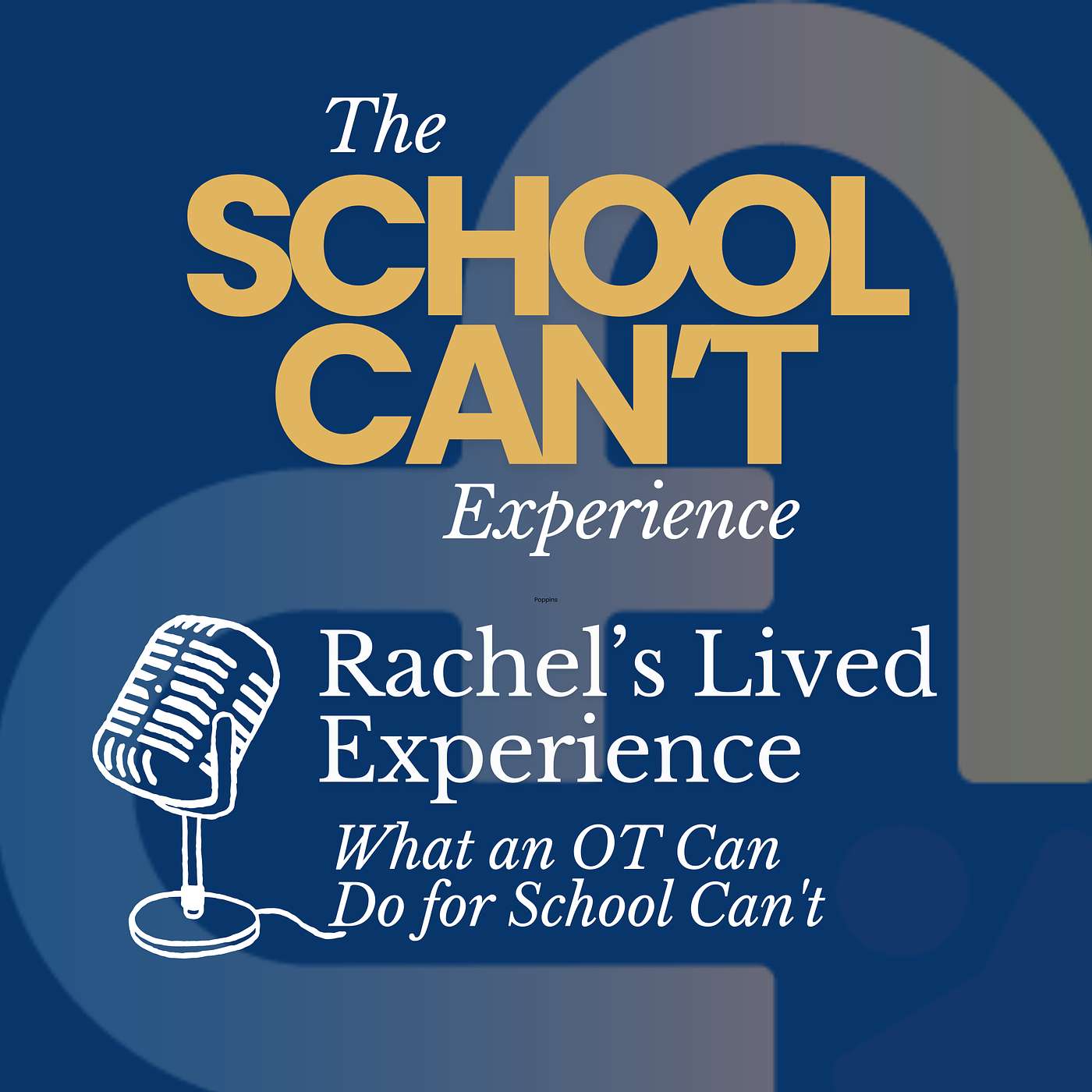 The School Can\'t Experience