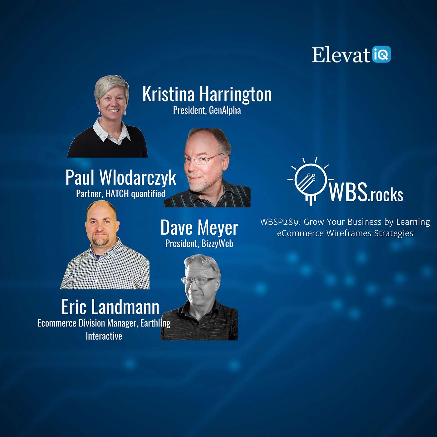 WBSP289: Grow Your Business by Learning eCommerce Wireframes Strategies, a Live Interview w/ a Panel of Experts