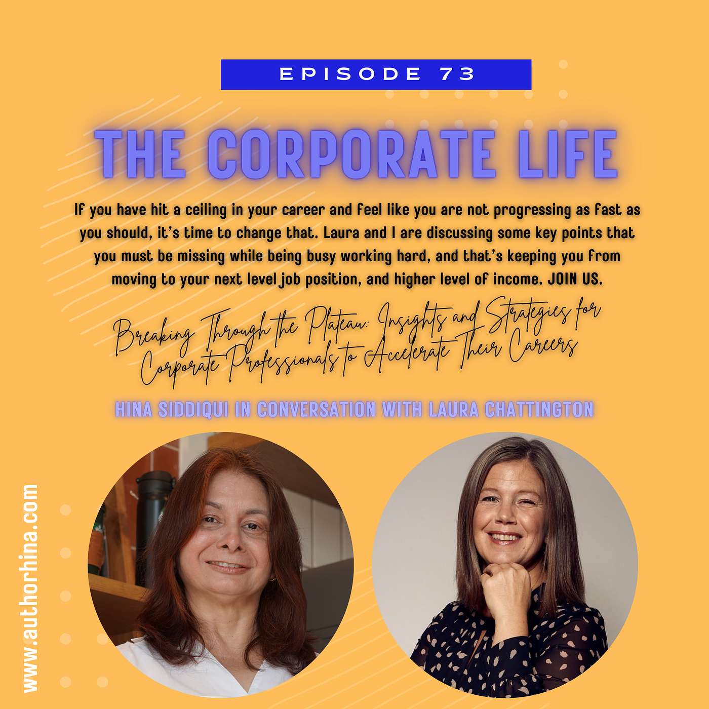 Breaking Through the Career Plateau: Insights and Strategies for Corporate Professionals to Accelerate Their Careers