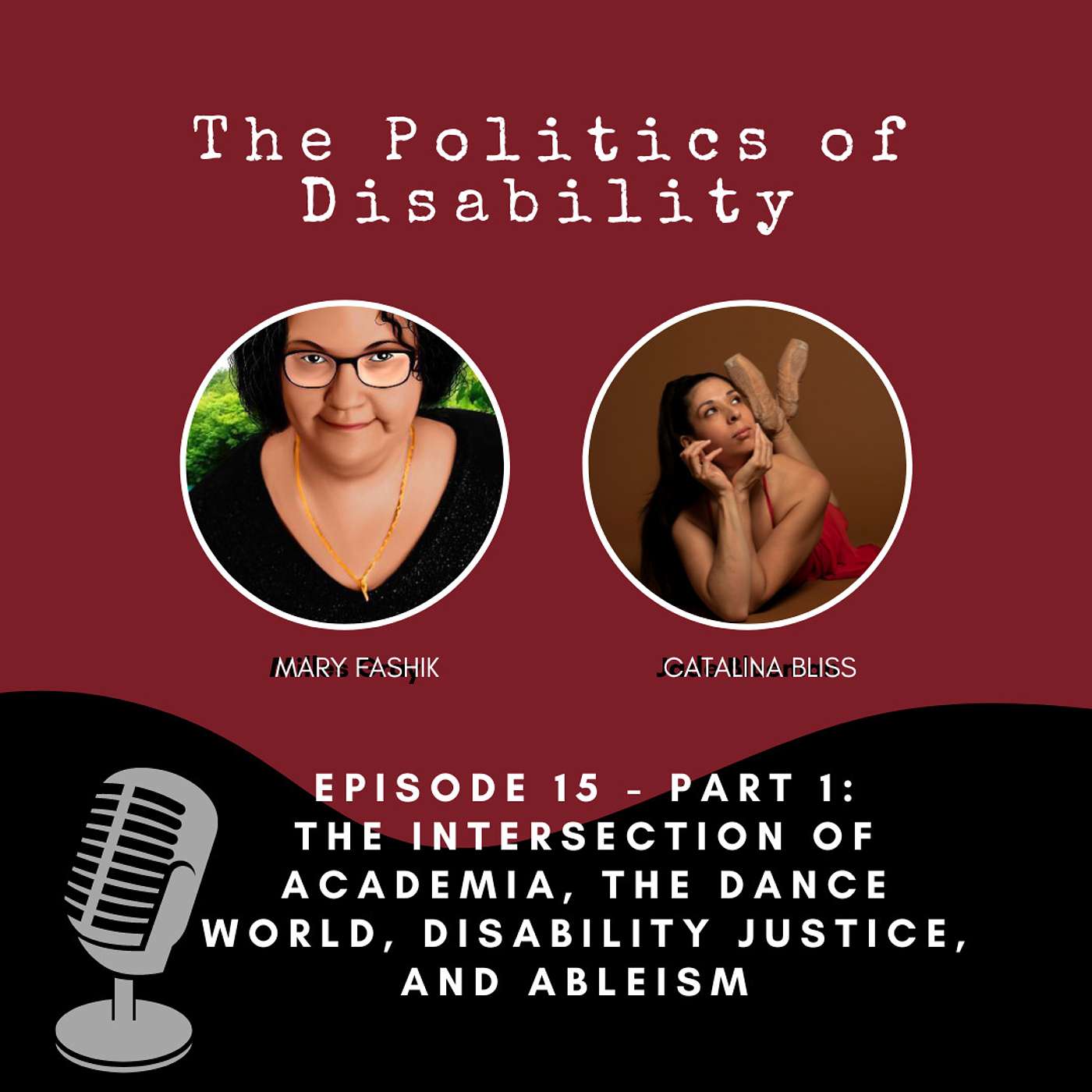 The Politics of Disability
