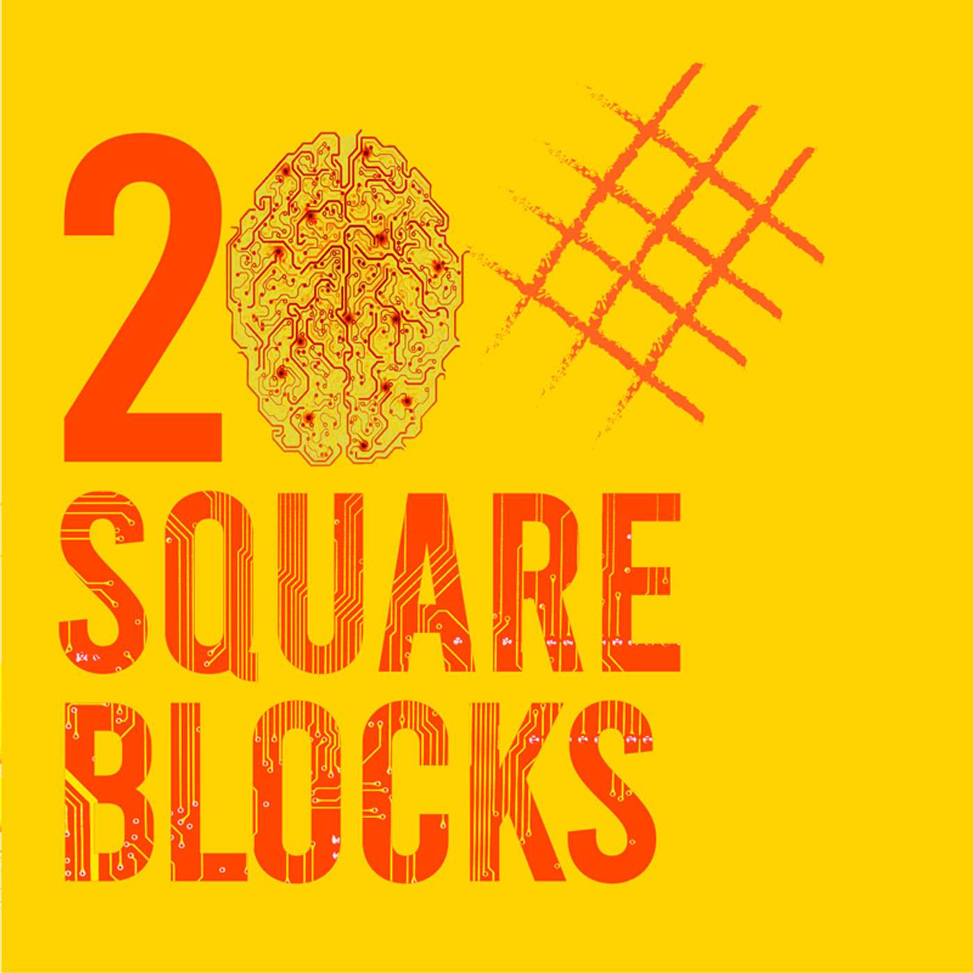 20 Square Blocks